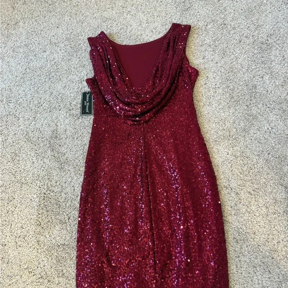 Elegant Sequin Dress in Deep Red - Picture 8 of 9